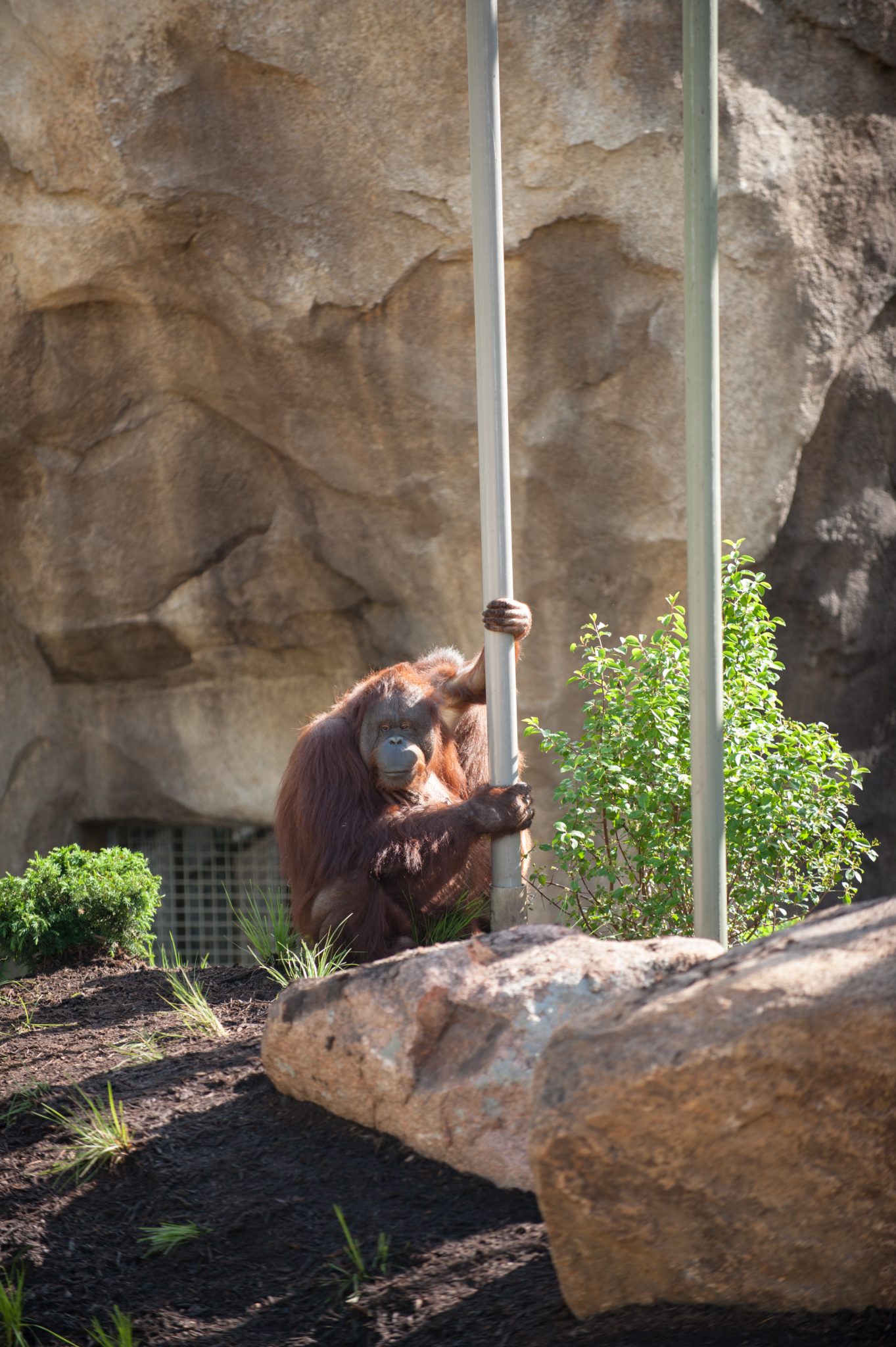 Kansas City Zoo