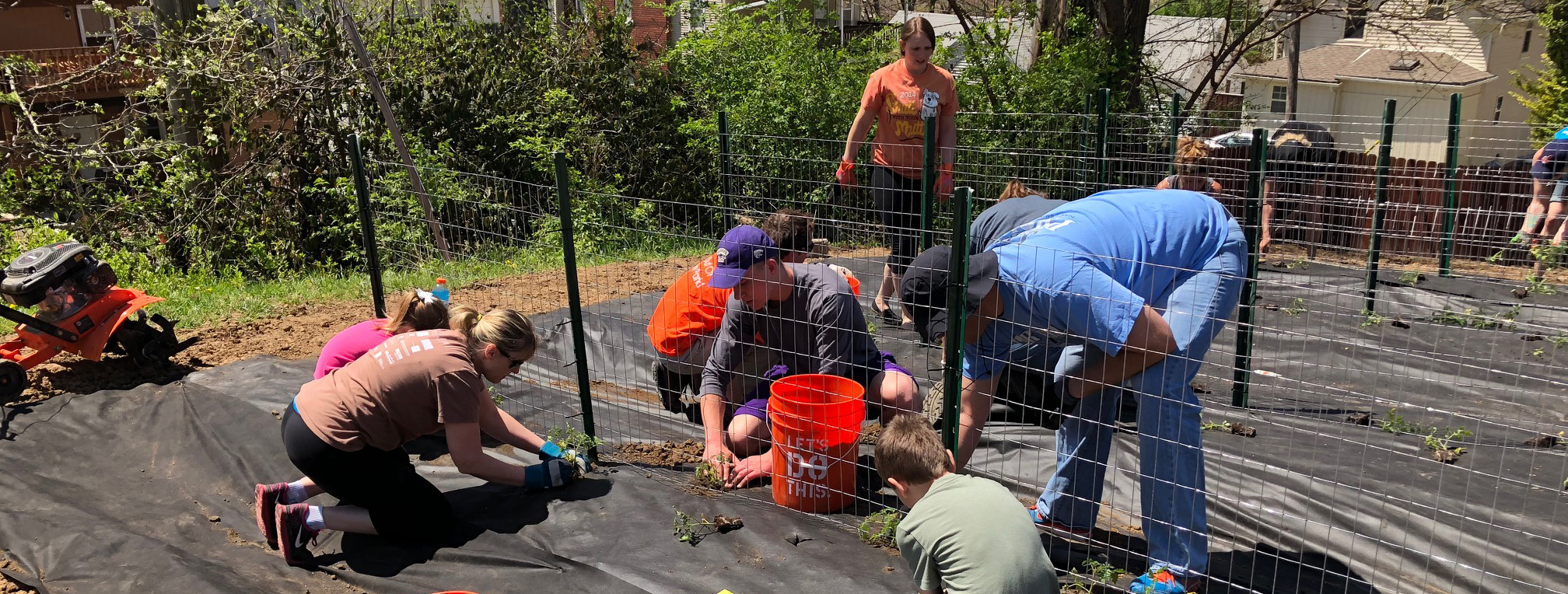 doing community service at a community garden